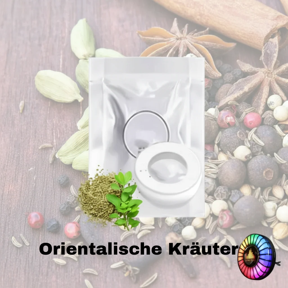 Musikrhythmus-LED-Auto-Licht mit Logo (mit Aromadiffusor)